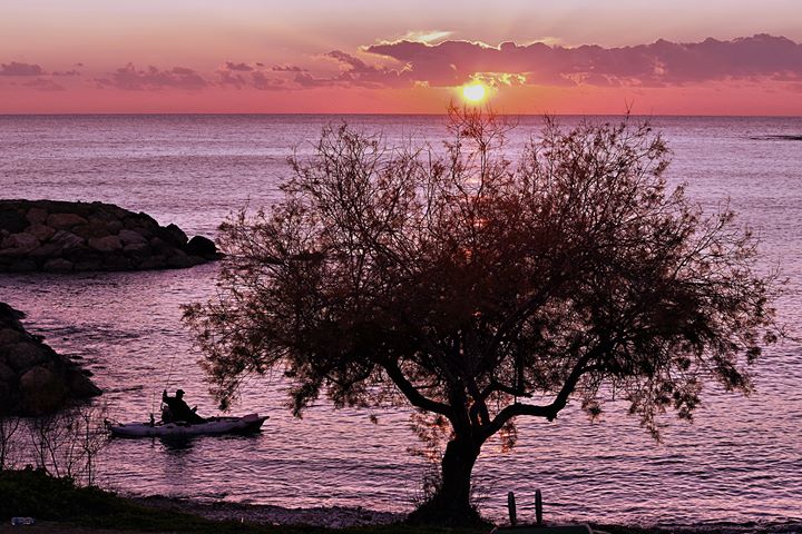 Stelios_Michaelides_Photo_Exhibition